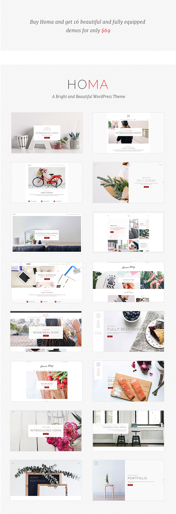 Homa - Elegant WordPress Theme - 1